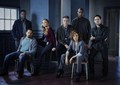 Shades of Blue - Season 1 Cast Portrait - shades-of-blue photo
