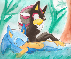  sonadow（ソニック＆シャドウ） A Forest 日