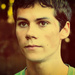 The Maze Runner - movies icon