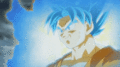 *Goku : Super Saiyan God* - dragon-ball-z photo