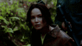    Katniss    - katniss-everdeen fan art