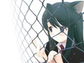 A cat girl behind a fence - anime photo