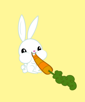  エンジェル Bunny eating a carrot