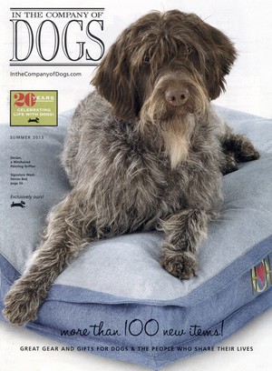  Cover In The Company Of chiens Summer 2015 Wirehair Pointing Griffon