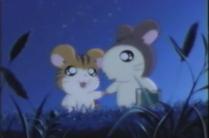  Cute hamster Anime