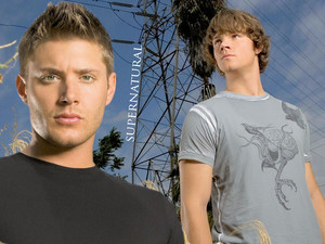  Dean and Sam - Supernatural.