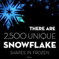 Frozen Fun Fact - elsa-the-snow-queen photo