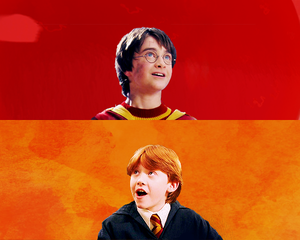  Harry Potter Edits