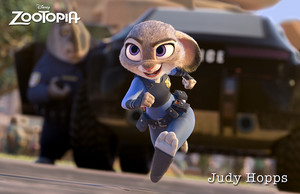  Judy