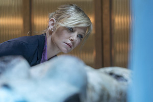 Kelli Giddish as Amanda Rollins in Law and Order: SVU - "Devil's Dissections"