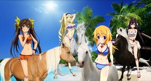  Ling, Cecilia, Charlotte, and Houki riding their beautiful chevaux on the plage