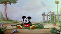 Mickey's Garden - mickey-mouse photo