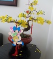 Miss La Sen on the lunar new year flower pot - random photo