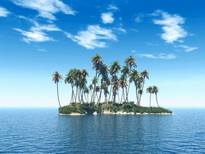  Palm Trees on Island