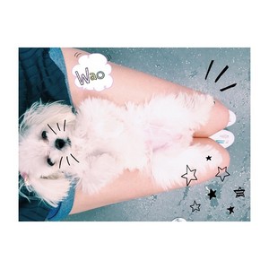 Shinoda Mariko Instagram