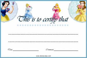  Walt 디즈니 Crafts - Snow White, Cinderella, Aurora, Belle Certificate