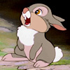 🐰 Thumper 🐰