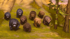 Bears      