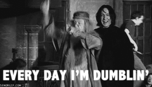 Every Day I'm Dumblin'