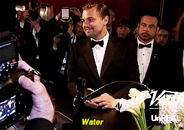 Leo and The Oscar