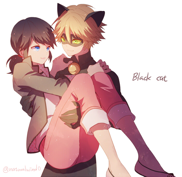 Chat noir and marinette fanfic