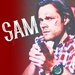 Sam - television icon