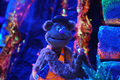 THE MUPPETS – “Little Green Lie” - the-muppets photo