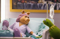 The Muppets - "Generally Inhospitable" - the-muppets photo
