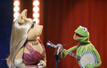 The Muppets - New Episode "Swine Song" - the-muppets photo