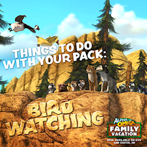  Things To Do With Your Pack : Bird Watching
