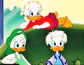 Walt Disney Screencaps - Louie Duck, Huey Duck & Dewey Duck - walt-disney-characters photo