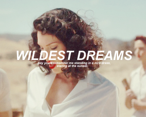  Wildest Dreams