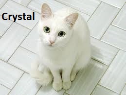  girl crystal