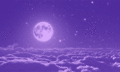 moonlight - moon photo