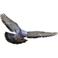 pigeon   10  - disney-princess photo