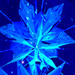 ❄️ Frozen ❄️ - frozen icon