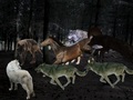 A Pack of Wolves work together Attacking and Taking Down an Horse - wolves fan art