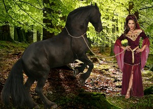  An Beautiful Sexy Enchantress tamed an Wild Horse