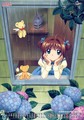 Cardcaptor Sakura - anime photo