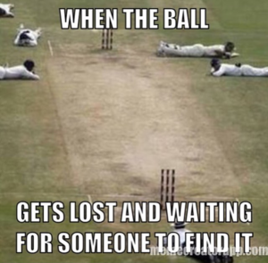  Cricket Memes
