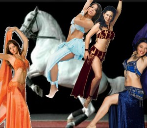 Cute, Sexy Belly Dancers are dancing together with their Beautiful Lippizaner Stallion
