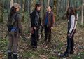 6x15 ~ East ~ Daryl, Michonne, Glenn & Rosita - the-walking-dead photo