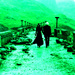 Draco and Narcissa - harry-potter icon
