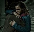 Harry and Hermione - harry-and-hermione photo