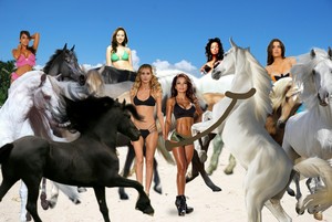  Hot Sexy Babes had captured and tamed a Herd of Beautiful Wild chevaux on the plage