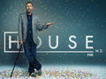 House MD Wallpaper - house-md photo