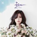 Hyosung releases flower-filled album covers for 'Colored' - secret-%EC%8B%9C%ED%81%AC%EB%A6%BF photo
