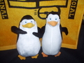 Private and Kowalski Plush - penguins-of-madagascar photo