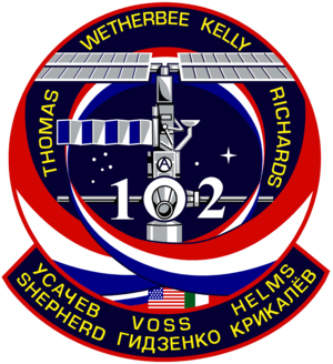 STS 102 Mission Patch