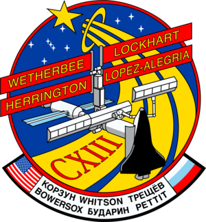  STS 113 Mission Patch